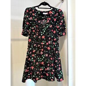 Rose Skater Dress (6)